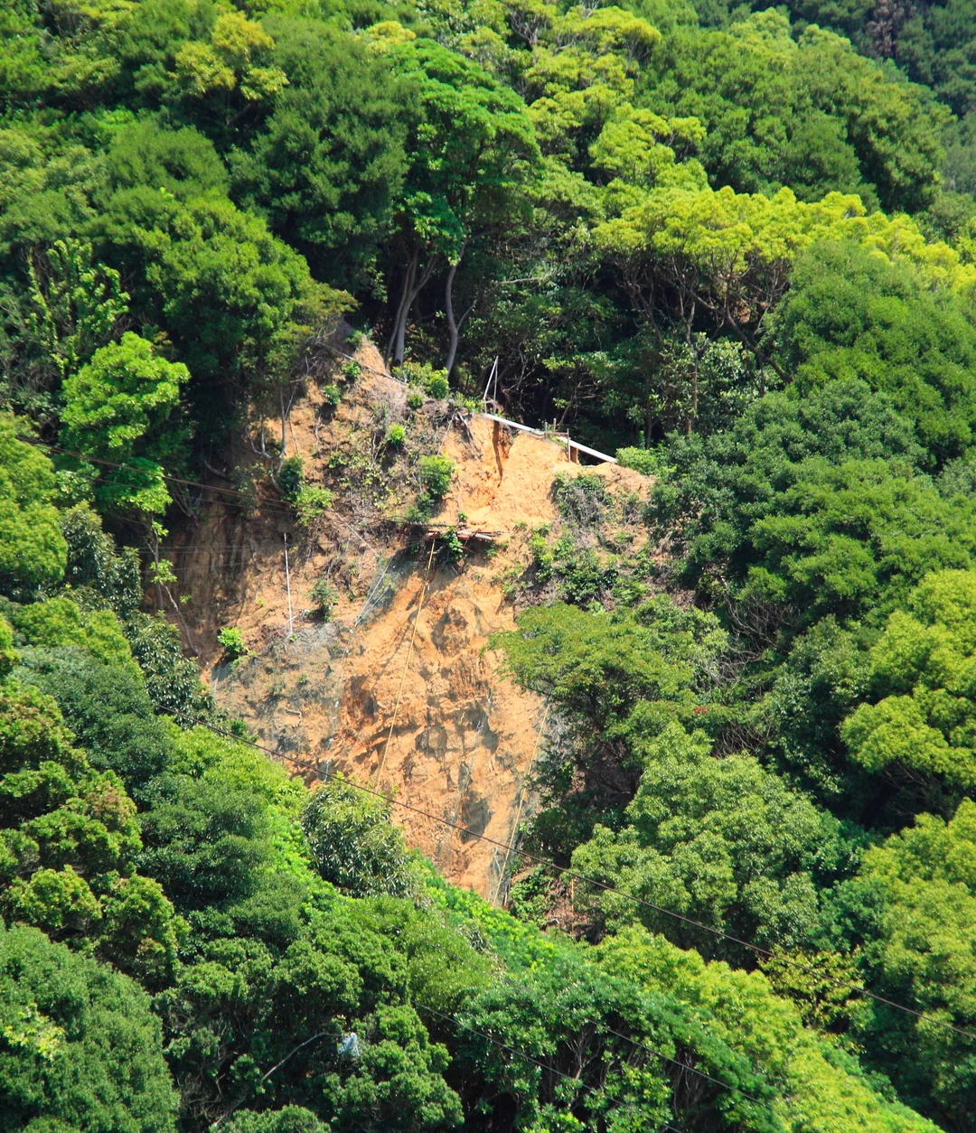 森の中の土砂崩れを上空から撮影した写真